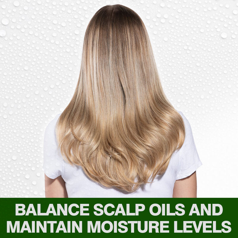 CHI – Tea Tree Oil Shampoing 340 ml